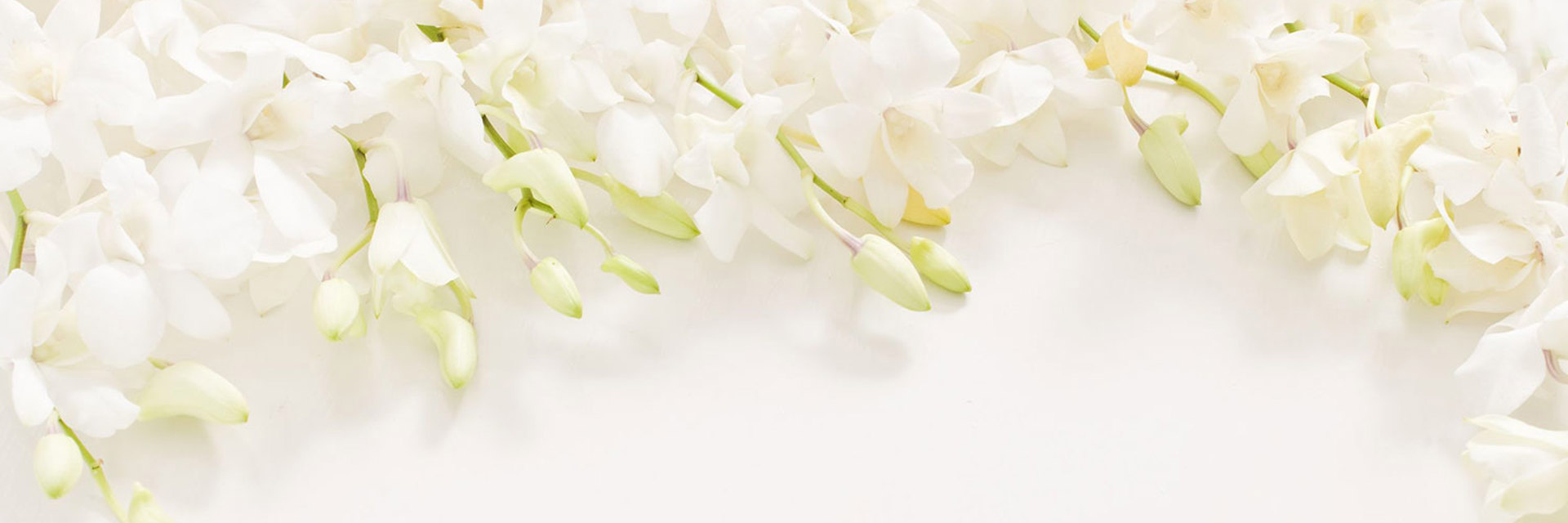 Home Banner